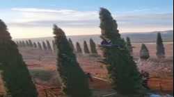 قوات الأمن الإسرائيلية تحاول إخلاء بؤرة تشيلو الإستيطانية والمستوطنون يتسلقون الأشجار