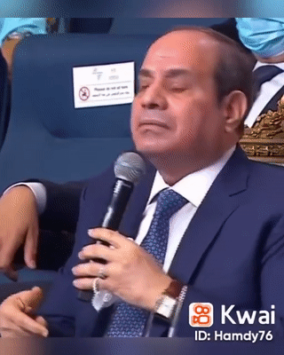 حديث الرئيس السيسي عن الزراعة في أوكرانيا في إشارة للوضع في السودان، يونيو 2022