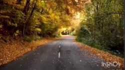 قصيدة لأيمن شاهين مهداة لعلي عبد الرحمن يوسف