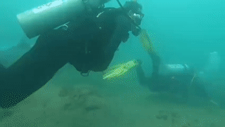 Abdullah Al Khalifa on a diving trip in Israel, August 2021