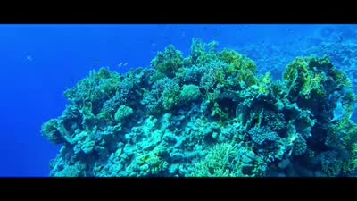 الغوص في منطقة رأس نصراني، شرم الشيخ