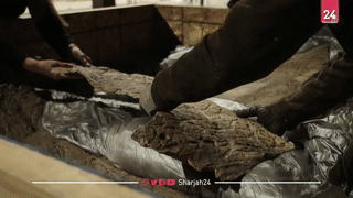 أكبر جمجمة ديناصور مُكتشَفة تعرض في الدنمارك