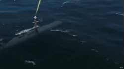 فيديو لاختبار الغواصة المسيرة أوركا، نشرته بوينج، أغسطس 2023