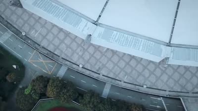 Large stadium roof structure