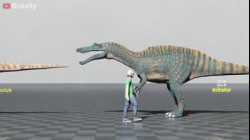 مقارنة بين حجم الديناصورات المختلفة وحجم الإنسان