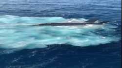 F-35 Jet Crash off Aircraft Carrier in South China Sea