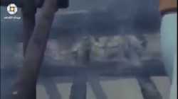 حريق المسجد الأقصى (21 أغسطس 1969)