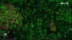 النشيد الوطني المشترك للبلدان العربية / من افتتاح كأس العرب قطر 2021