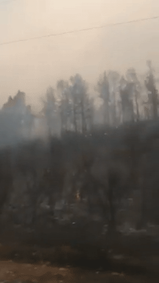 حرائق غابات ولاية خنشلة، الجزائر، يوليو 2021