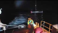 مجموعة من حيتان الأوركا تهاجم السفن قبالة شبه الجزيرة الآيبرية، يونيو 2023