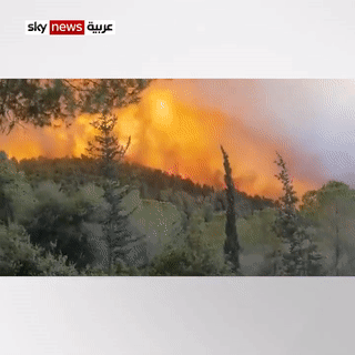 حرائق جبال القدس، 16 أغسطس 2021