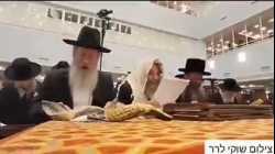 حاخامات يهود في إسرائيل يصلون من أجل الجيش الإسرائيلي في حربه على غزة، نوفمبر 2023