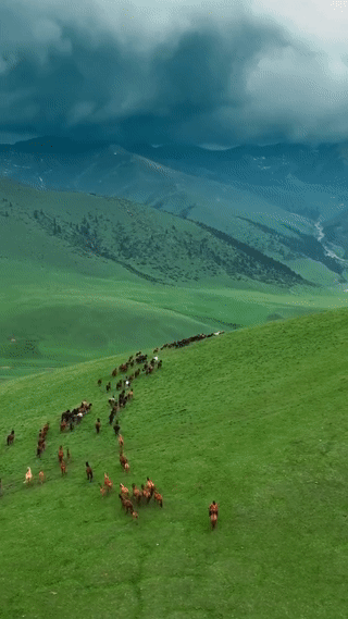 السهوب القزقية