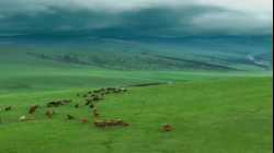 السهوب القزقية