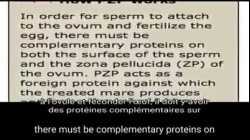 Lethal Injection The Story of Vaccination