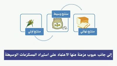 بيزنس الجيش: مصر بين شح الحلول وبيع الأصول، نائل الشافعي، 7 أغسطس 2022