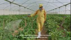 أغنية إنسان جديد فيديو ترويجي لمجمع سجون وادي النطرون