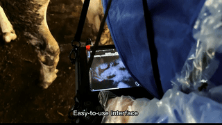 Dawei veterinary ultrasound S1