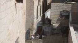 مستوطنون يقتحمون المسجد الأقصى بالتزامن مع مسيرة الأعلام في القدس، 29 مايو 2022