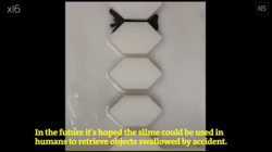 The era of fluid robots begins. These robots, made of magnetic slime, can be inserted into the human body for operations such as removing accidentally swallowed objects.