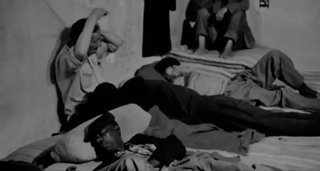 فيلم معركة الجزائر