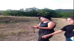 Trio Mandili - Apareka