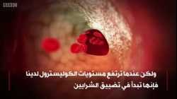 ما هو الكوليسترول؟