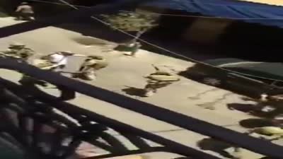 الجيش اللبناني ينسحب من معظم طرابلس
