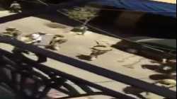 الجيش اللبناني ينسحب من معظم طرابلس