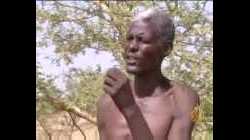 الصمغ العربي بالسودان - سامي كليب