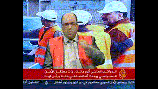 أنور مالك ينسحب من بعثة المراقبين العرب في سوريا