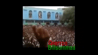 مظاهرات مسجد الأنور، أديس أبابا 2012