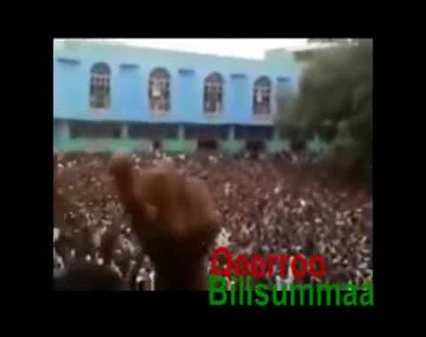 مظاهرات مسجد الأنور، أديس أبابا 2012
