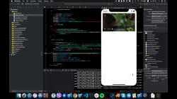 live stream marefa demo