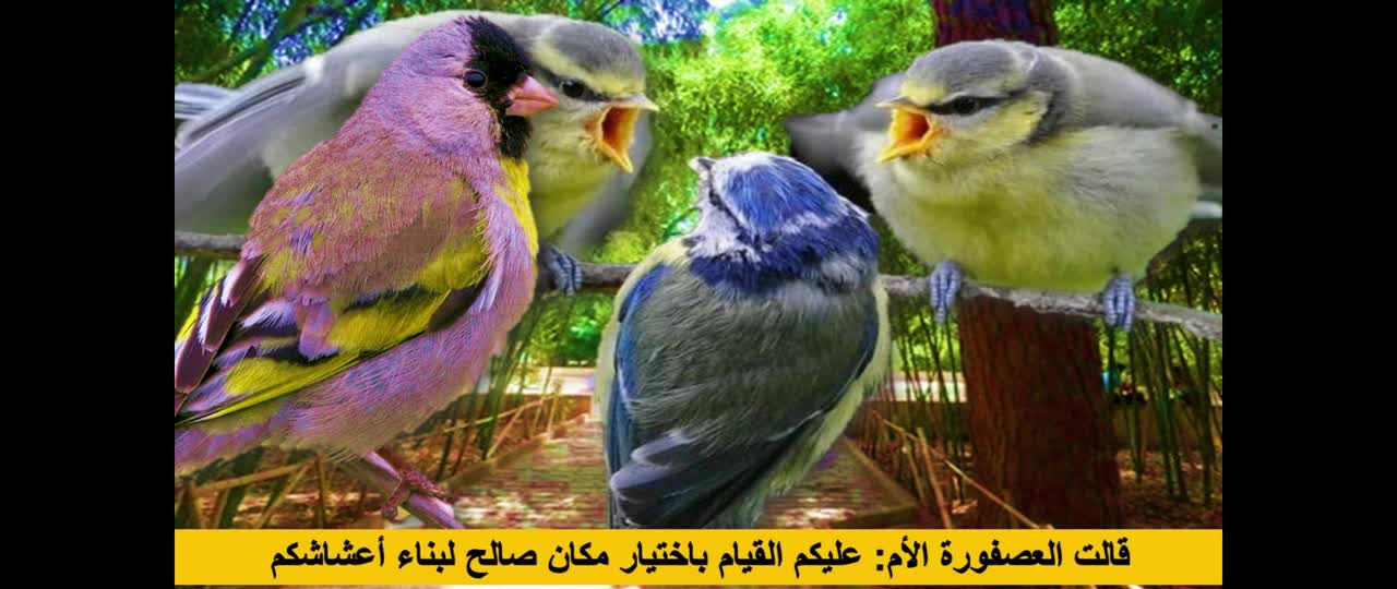 جنة العصافير جنان السبيل _ حكايات للأطفال قبل النوم