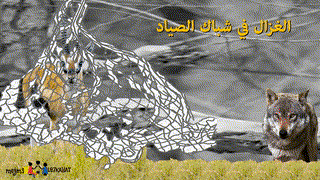 الغزال و الذئب - حكايات للأطفال قبل النوم