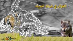 الغزال و الذئب - حكايات للأطفال قبل النوم