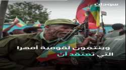 ميلشيا الفانو الإثيوبية