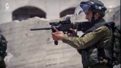 الشهيد محمد صلاح إبراهيم