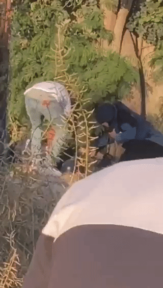 لحظة استشهاد الصحفية شيرين أبو عاقلة