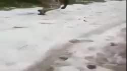 نزول الثلج على غرب الكاميرون (أمبازونيا)، 11 سبتمبر 2021